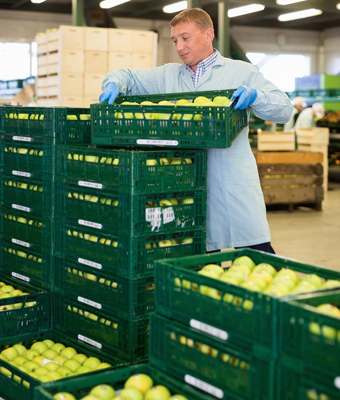 Ingrosso frutta e verdura in tutto il nord Italia